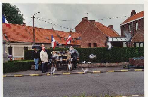 pigeon00a.jpg (20976 octets)